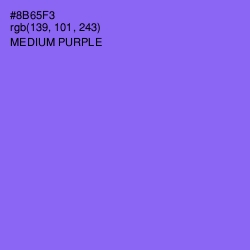 #8B65F3 - Medium Purple Color Image